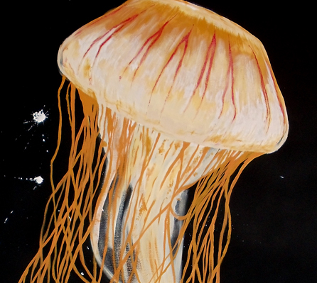 JellyfishFI