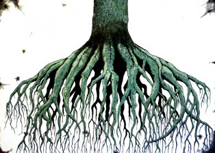 Tree-Roots